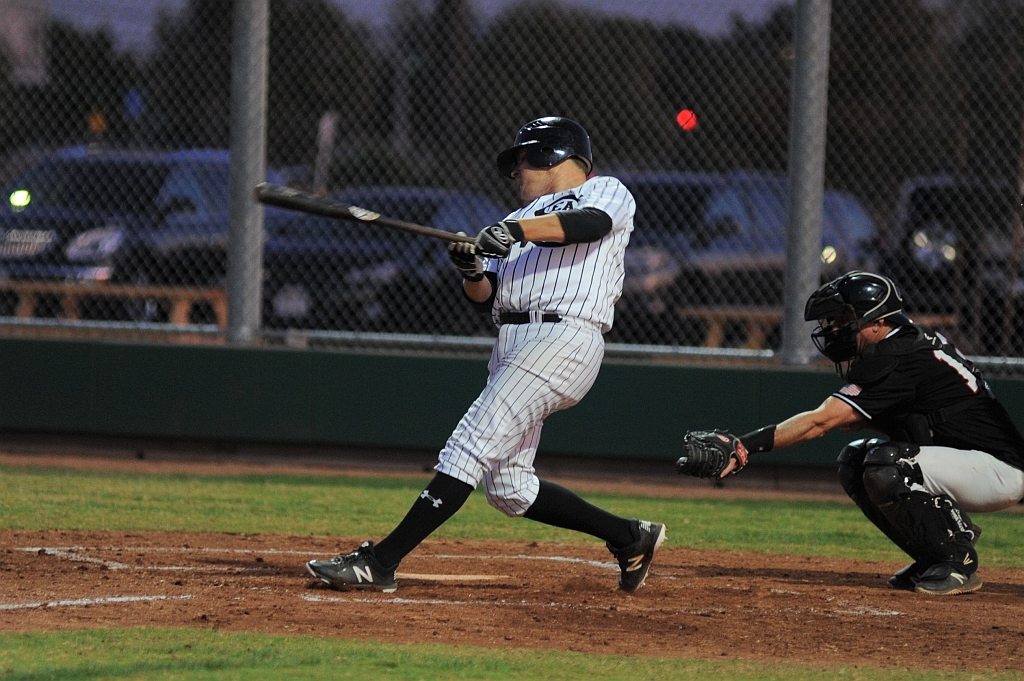 Seals_2019-09-19 (307).JPG - (c)2010 DeVetter